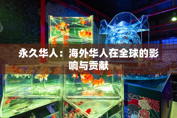 永久华人：海外华人在全球的影响与贡献