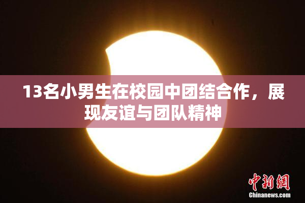 13名小男生在校园中团结合作，展现友谊与团队精神