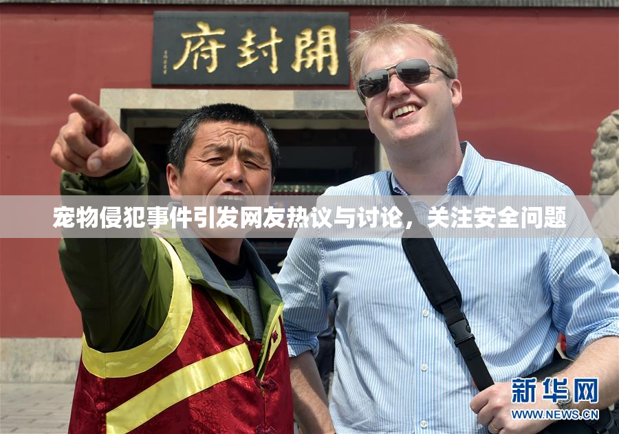 宠物侵犯事件引发网友热议与讨论，关注安全问题