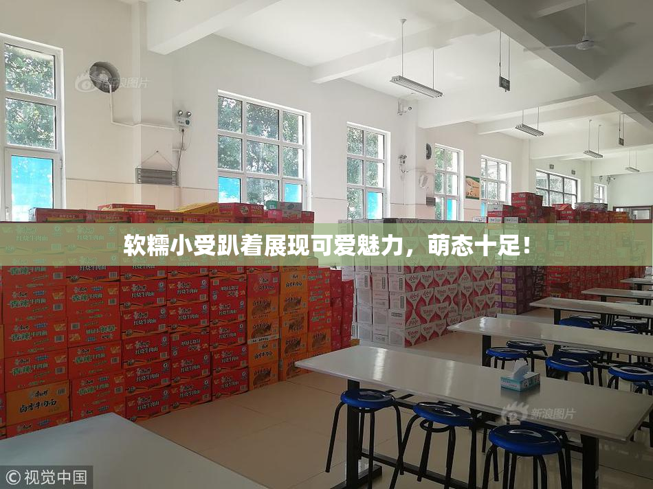 软糯小受趴着展现可爱魅力，萌态十足！