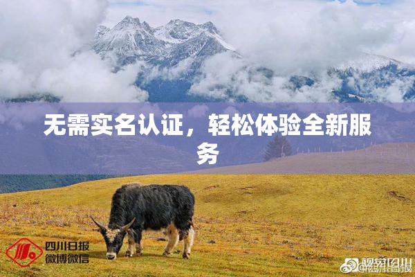 无需实名认证，轻松体验全新服务