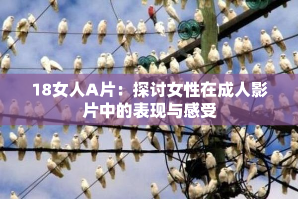 18女人A片：探讨女性在成人影片中的表现与感受