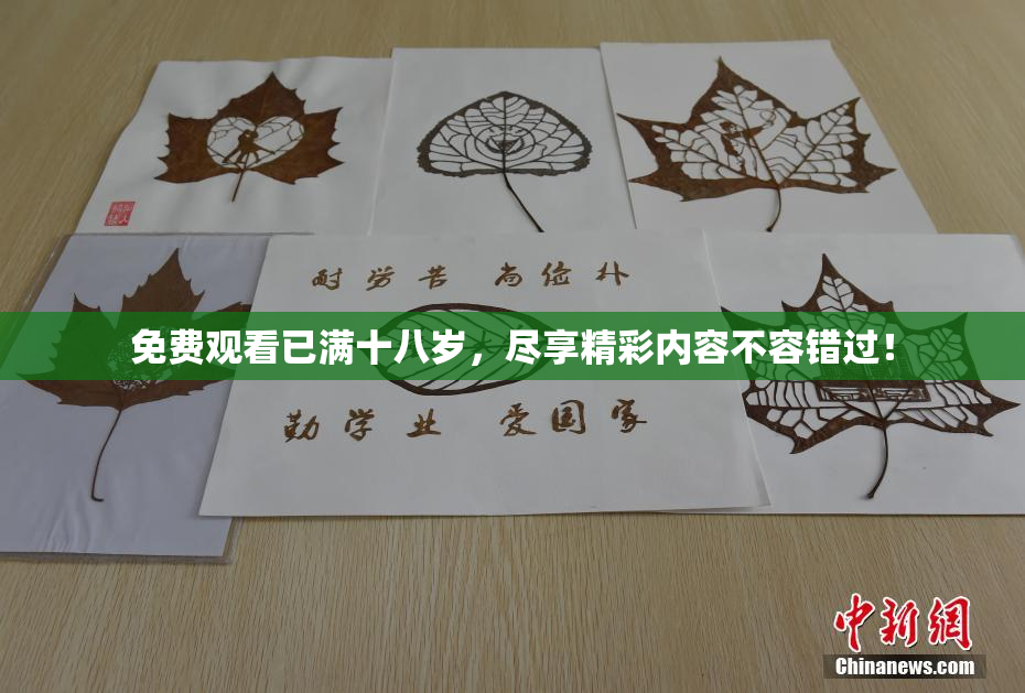 免费观看已满十八岁，尽享精彩内容不容错过！