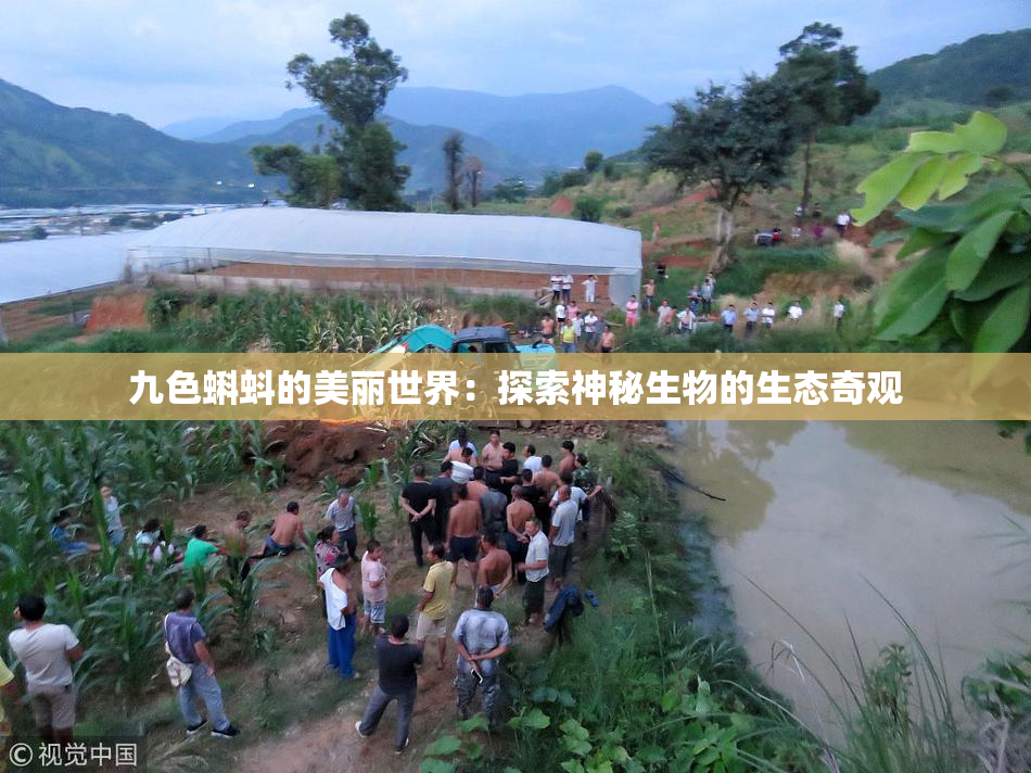 九色蝌蚪的美丽世界：探索神秘生物的生态奇观