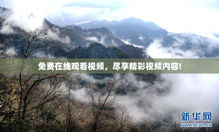 免费在线观看视频，尽享精彩视频内容!