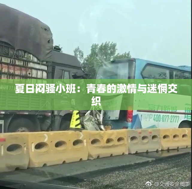 夏日闷骚小班：青春的激情与迷惘交织