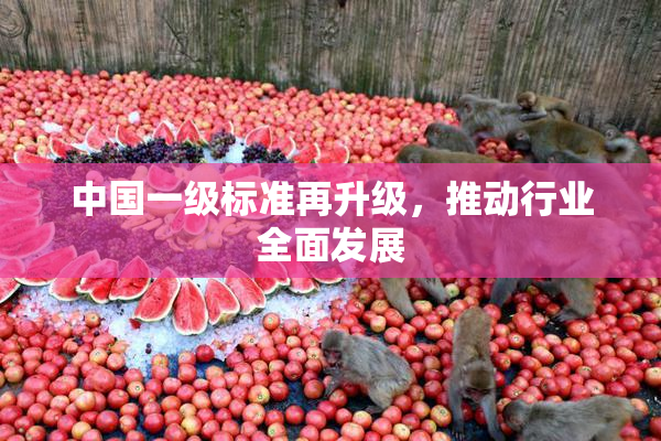 中国一级标准再升级，推动行业全面发展