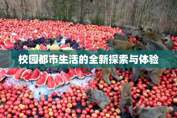 校园都市生活的全新探索与体验