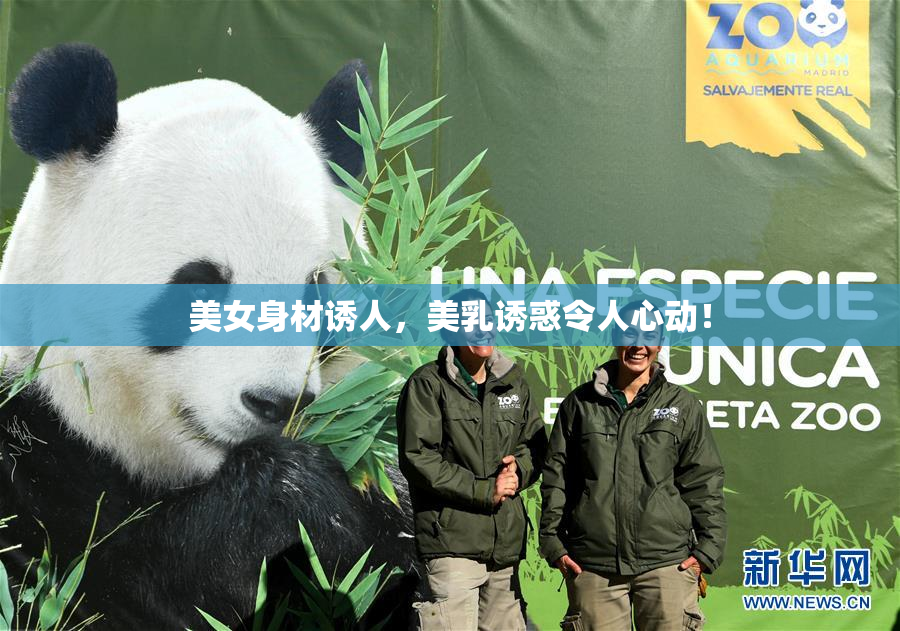 美女身材诱人，美乳诱惑令人心动！