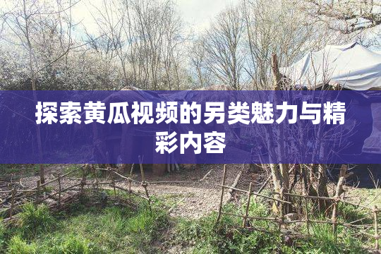 探索黄瓜视频的另类魅力与精彩内容
