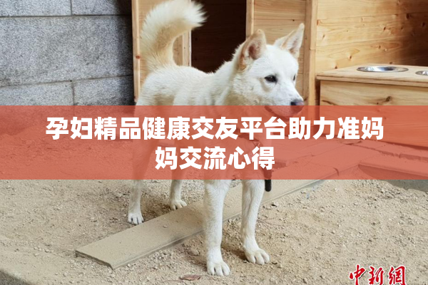 孕妇精品健康交友平台助力准妈妈交流心得