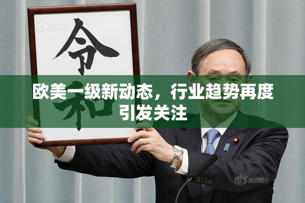 欧美一级新动态，行业趋势再度引发关注