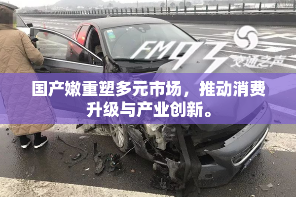 国产嫩重塑多元市场，推动消费升级与产业创新。
