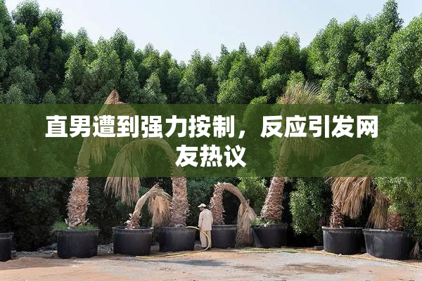 直男遭到强力按制，反应引发网友热议