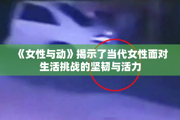 《女性与动》揭示了当代女性面对生活挑战的坚韧与活力