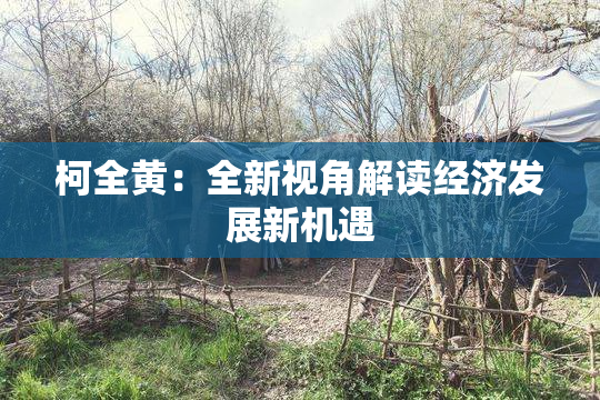 柯全黄：全新视角解读经济发展新机遇