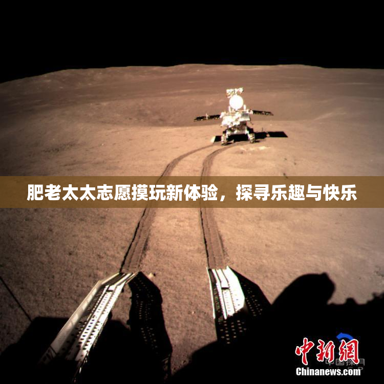肥老太太志愿摸玩新体验，探寻乐趣与快乐