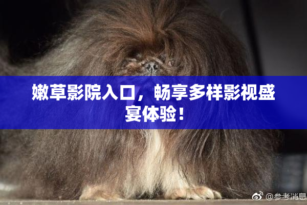 嫩草影院入口，畅享多样影视盛宴体验！