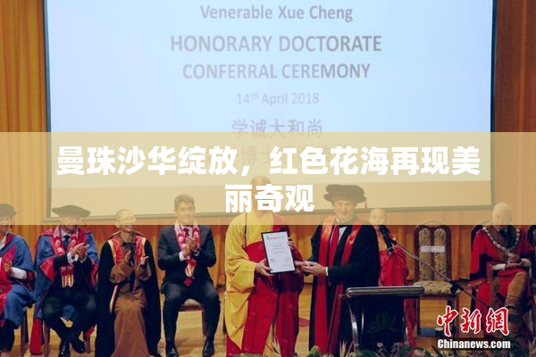 曼珠沙华绽放，红色花海再现美丽奇观