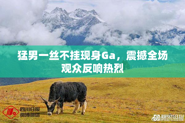 猛男一丝不挂现身Ga，震撼全场观众反响热烈