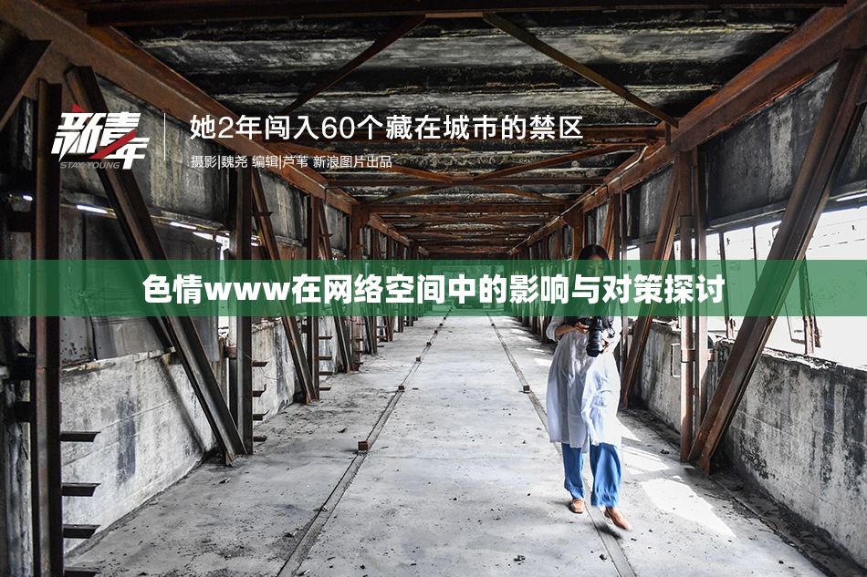 色情www在网络空间中的影响与对策探讨