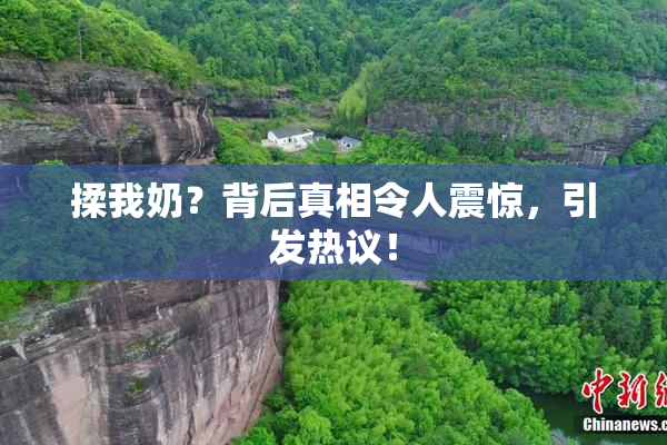 揉我奶？背后真相令人震惊，引发热议！