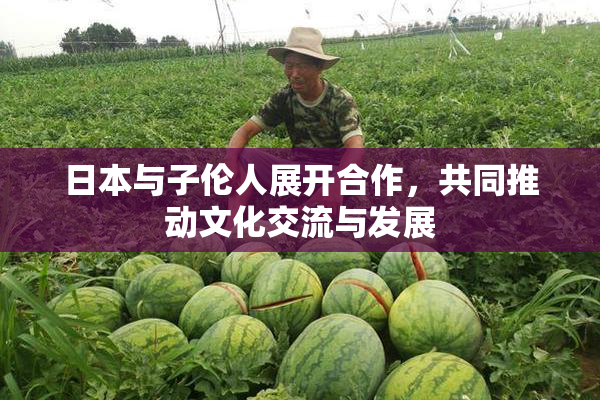 日本与子伦人展开合作，共同推动文化交流与发展