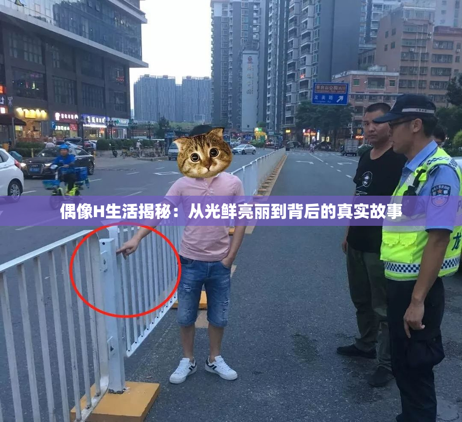 偶像H生活揭秘：从光鲜亮丽到背后的真实故事