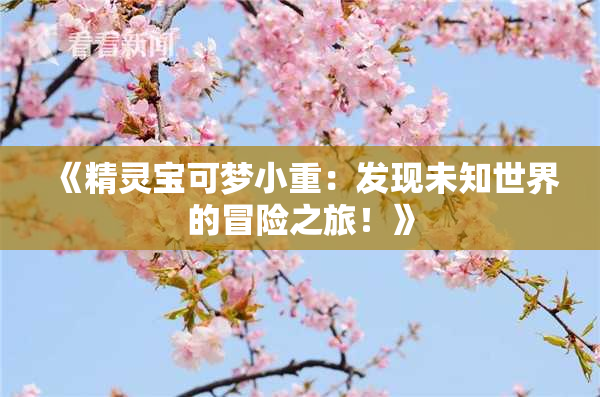 《精灵宝可梦小重：发现未知世界的冒险之旅！》