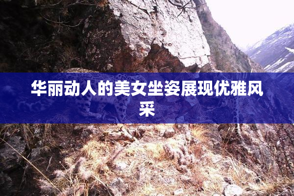 华丽动人的美女坐姿展现优雅风采