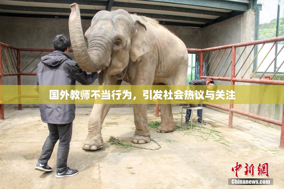 国外教师不当行为，引发社会热议与关注