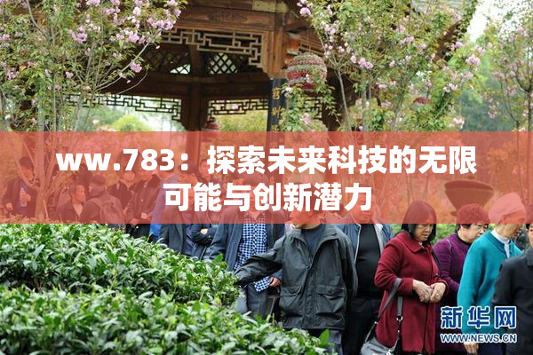 ww.783：探索未来科技的无限可能与创新潜力
