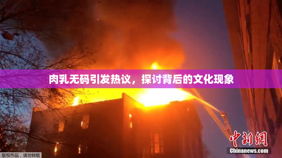 肉乳无码引发热议，探讨背后的文化现象