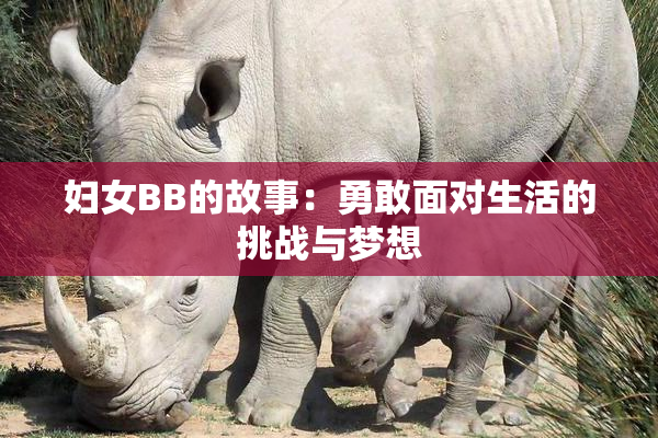 妇女BB的故事：勇敢面对生活的挑战与梦想