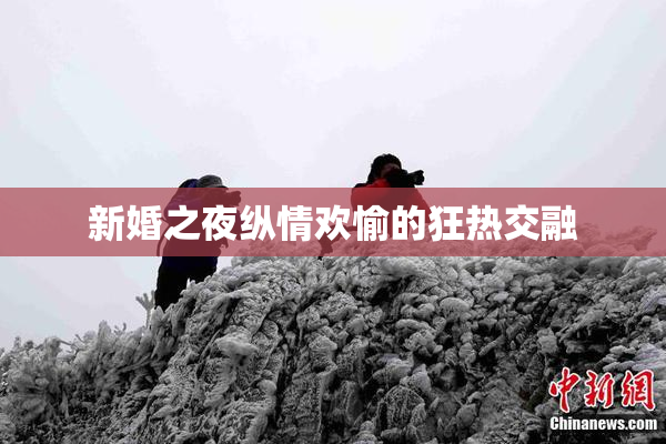 新婚之夜纵情欢愉的狂热交融