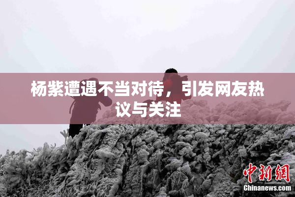 杨紫遭遇不当对待，引发网友热议与关注