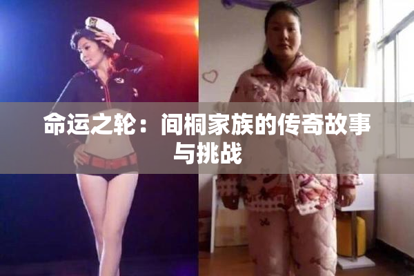 命运之轮：间桐家族的传奇故事与挑战