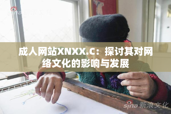 成人网站XNXX.C：探讨其对网络文化的影响与发展