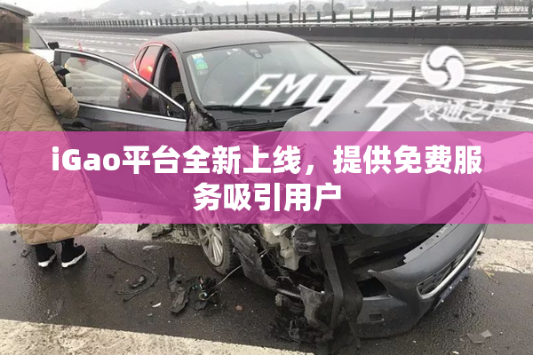 iGao平台全新上线，提供免费服务吸引用户
