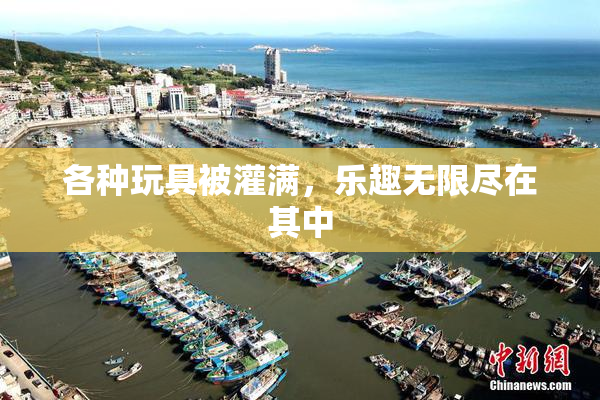 各种玩具被灌满，乐趣无限尽在其中