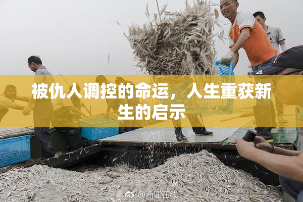 被仇人调控的命运，人生重获新生的启示