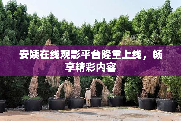 安姨在线观影平台隆重上线，畅享精彩内容