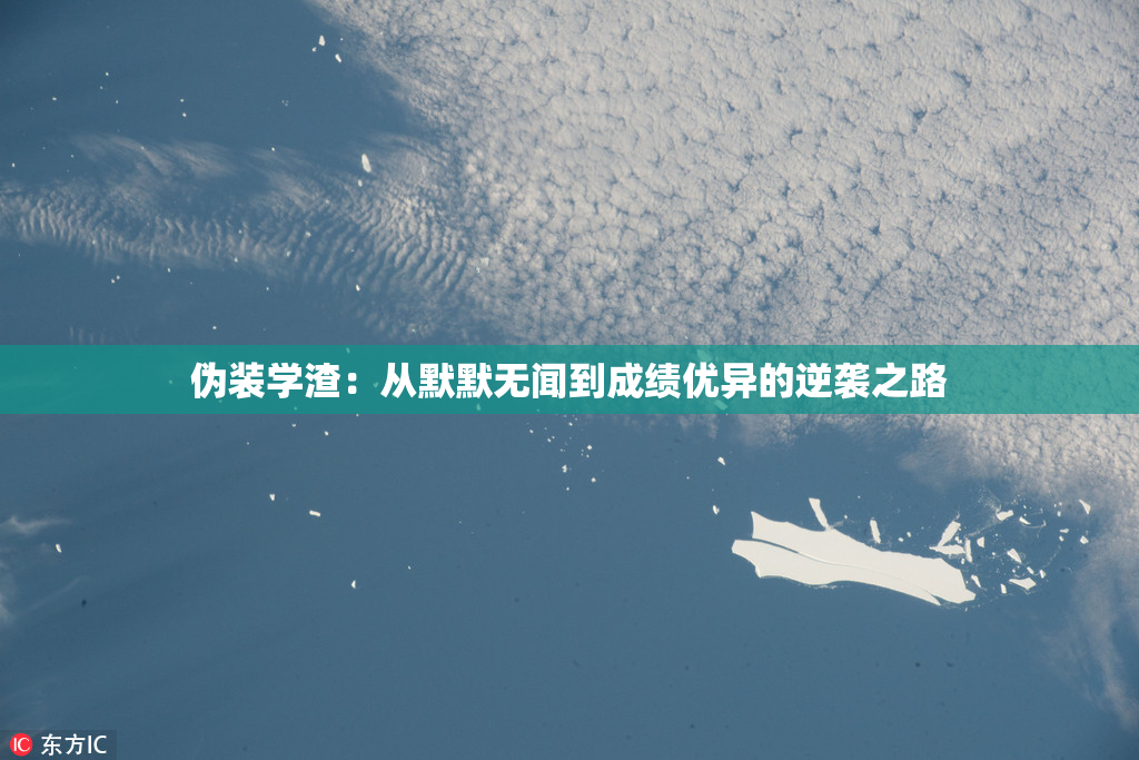 伪装学渣：从默默无闻到成绩优异的逆袭之路