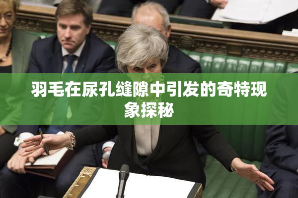 羽毛在尿孔缝隙中引发的奇特现象探秘