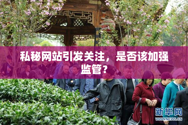 私秘网站引发关注，是否该加强监管？