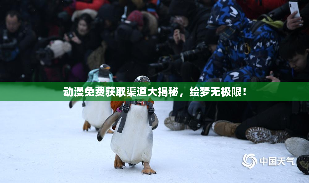 动漫免费获取渠道大揭秘，绘梦无极限！