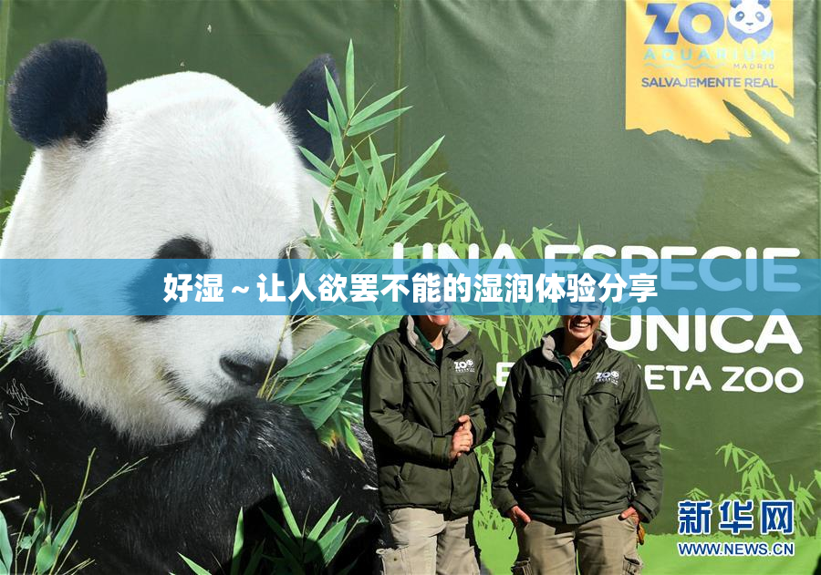 好湿～让人欲罢不能的湿润体验分享
