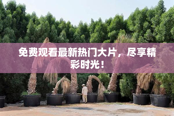免费观看最新热门大片，尽享精彩时光！