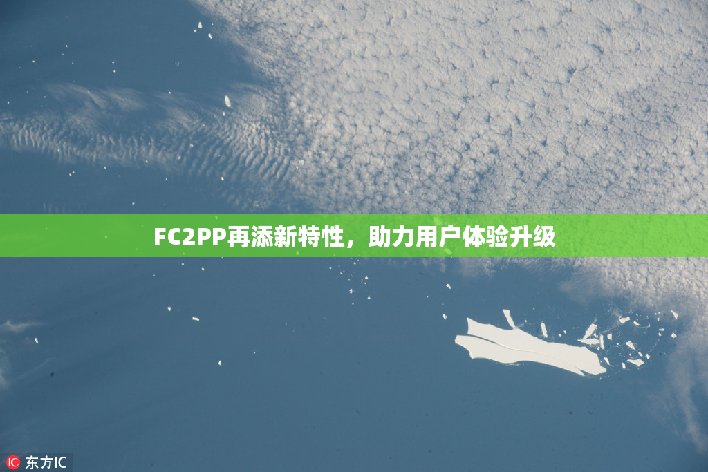 FC2PP再添新特性，助力用户体验升级