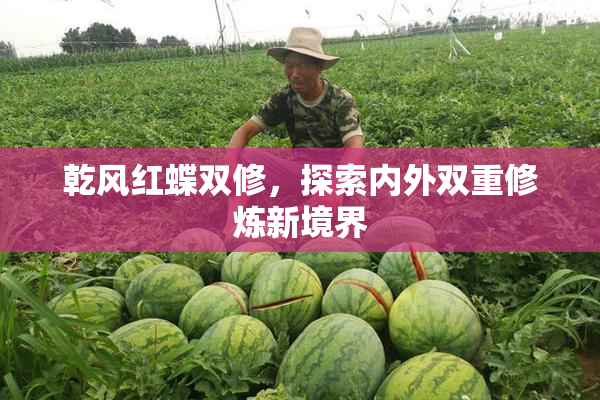 乾风红蝶双修，探索内外双重修炼新境界